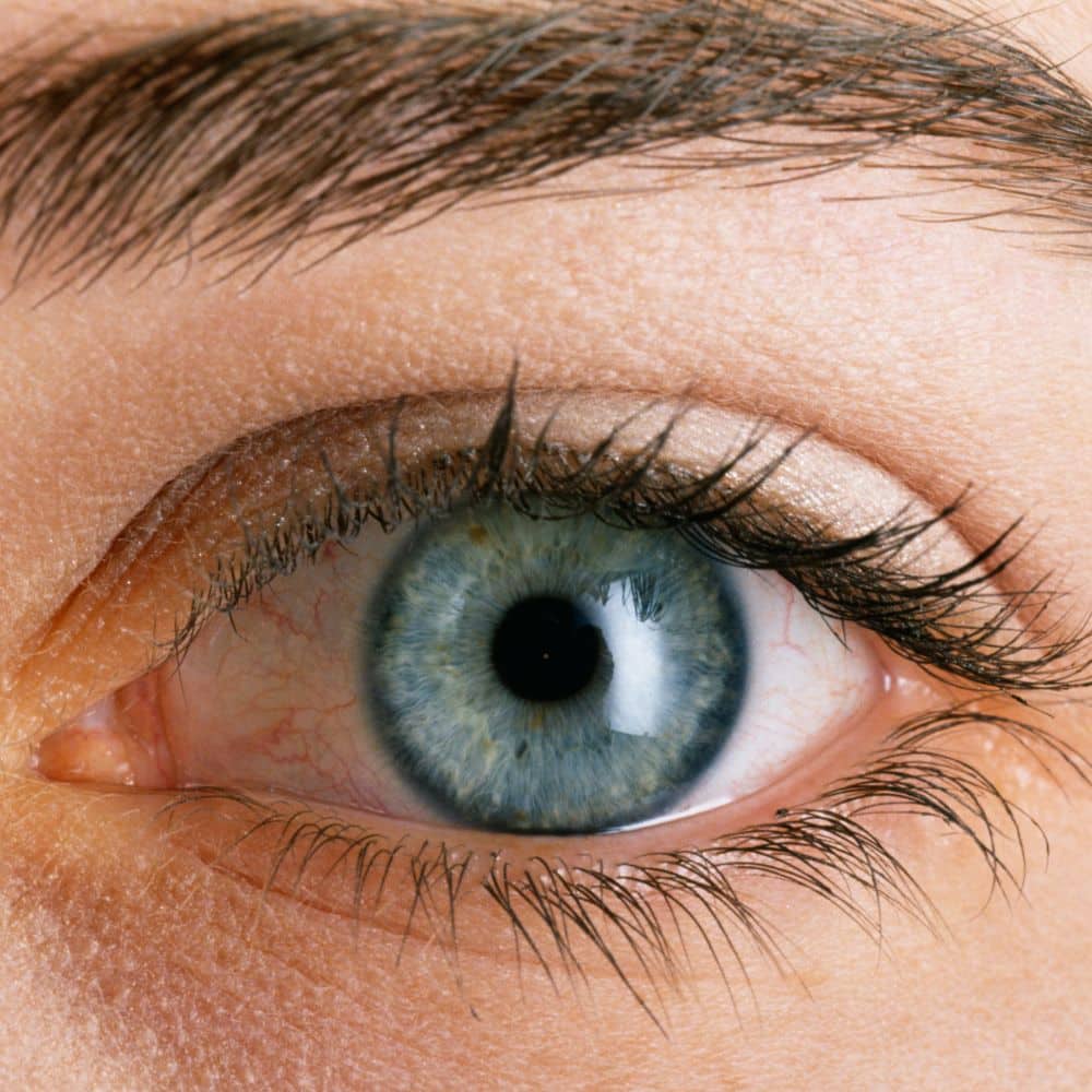 eye socket